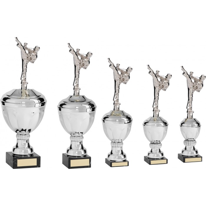 MARTIAL ARTS ROUNDHOUSE METAL TROPHY  - AVAILABLE IN 5 SIZES